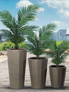 پکیج طراحی و اجرای روف گاردن Roof Garden Design and construction package